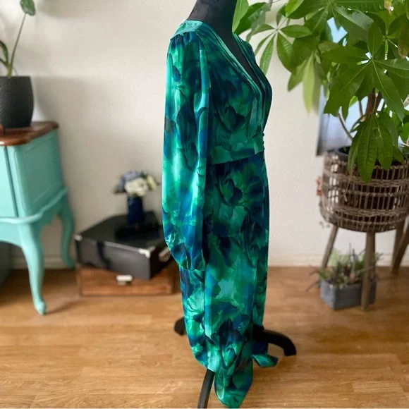 NWT Runaway The Label Calista Deep-V Button Front Long Sleeve Sheer Midi Dress - Picture 9 of 16